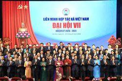 Liên minh Hợp tác xã Việt Nam tiếp tục đổi mới, nâng cao hiệu quả kinh tế tập thể trong giai đoạn mới