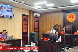 Phiên tòa trực tuyến trong cao điểm '90 ngày giải quyết đơn, án'