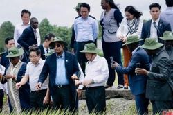 Việt Nam - Bờ Biển Ngà mở rộng kết nối, nâng cơ hội xuất khẩu