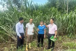 Bảo đảm an sinh xã hội từ chương trình cho vay hỗ trợ việc làm