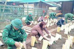 Ánh sáng ở “nơi tận cùng” Tam Chung