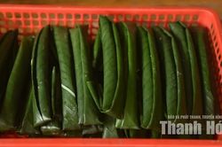 Chiếc bánh lá giữ hồn làng Cổ Tế