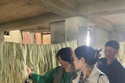 Từ những sợi tơ dứa, mở hướng phát triển kinh tế xanh
