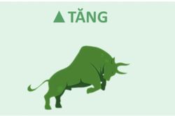 Chuyên gia SHS: Có khoảng 75% số mã đang có xu hướng tăng, vẫn có thể mua tìm kiếm cơ hội