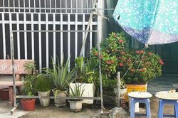 Khoảng xanh lấn lối đi chung