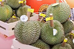 Nam Ninh (Quảng Tây, Trung Quốc) đón lô trái cây ASEAN quy mô lớn