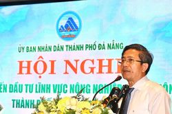 Dư địa lớn trong thu hút đầu tư vào nông nghiệp, nông thôn Đà Nẵng