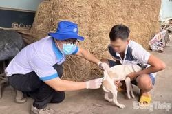 Đồng Tháp: Cảnh báo từ ca tử vong do bệnh dại ở bé gái 4 tuổi