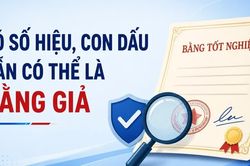 Infographic Có số hiệu, con dấu vẫn có thể là bằng giả: 5 bước kiểm tra để tránh rủi ro