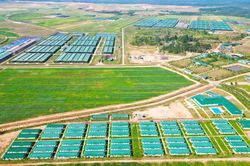 Đưa doanh nghiệp tiến sâu vào thị trường quốc tế
