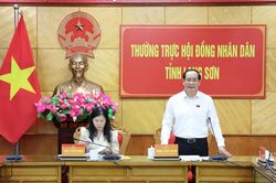 Thường trực HĐND tỉnh giám sát về công tác quy hoạch xây dựng, quản lý hoạt động của các công viên
