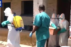 WHO cập nhật khuyến nghị về dịch bệnh Ebola tại CHDC Congo