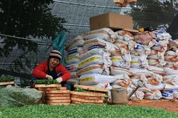 Gỡ nút thắt hạ tầng, nối dài chuỗi giá trị nông sản