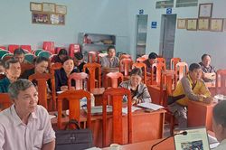 Phát huy vai trò 'cây cao bóng cả'