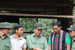 Người dân mong sớm được tiếp tục giao khoán bảo vệ rừng