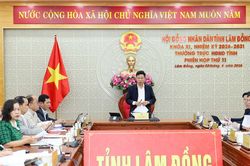 Thường trực HĐND tỉnh Lâm Đồng cho ý kiến các nghị quyết về chính sách và phát triển kinh tế - xã hội