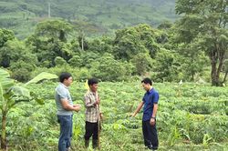 Đổi mới ở xã Lìa