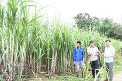 Giải quyết chế độ đối với cán bộ dôi dư