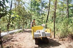 Mở lối du lịch sinh thái trên đỉnh núi Kim Phụng
