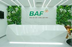 BAF gia nhập rổ FTSE Global Total cap trong tiến trình nâng hạng thị trường chứng khoán Việt Nam