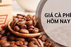 Ngày 25/8: Giá cà phê tiếp đà khởi sắc, hồ tiêu neo ở mức cao