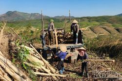 Quảng Ninh tạo thêm động lực phát triển từ vùng cao, biên giới