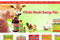 TP. Hồ Chí Minh: Siết chặt quản lý thuốc thú y để bảo đảm sức khỏe cộng đồng
