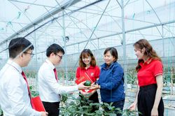 Dòng vốn Agribank bồi đắp động lực phát triển từ khu vực 'Tam nông'
