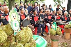 Sầu riêng hòa nhịp văn hóa đại ngàn
