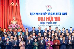 X&aacute;c lập tầm nh&igrave;n cho kinh tế tập thể trong giai đoạn mới