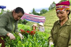 Lào Cai hướng tới 35% phụ nữ làm chủ, quản lý doanh nghiệp và HTX