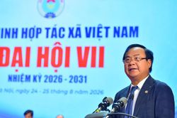 HTX chuyển mạnh từ phát triển số lượng sang nâng cao chất lượng, hiệu quả và sức cạnh tranh