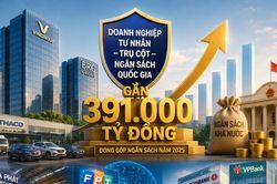 Đóng góp kỷ lục gần 391.000 tỷ đồng, khối doanh nghiệp tư nhân khẳng định vai trò trụ cột ngân sách