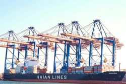 Viconship – Hải An cùng 'đánh cược' nghìn tỷ vào đội tàu: Lợi nhuận tăng, bài toán vốn ngày càng lớn