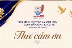 Chủ tịch Liên minh HTX Việt Nam gửi thư cảm ơn sau Đại hội VII