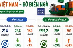 Xuất nhập khẩu Việt Nam – Bờ Biển Ngà đạt gần một tỷ USD sau 7 tháng