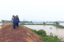 Đa Phúc tăng cường bảo đảm an toàn trên tuyến đường đê