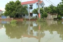 Nhiều hộ dân xã Trung Giã bị ngập sâu
