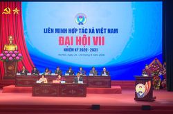 Hình thành thế hệ hợp tác xã mới, hiện đại, hiệu quả