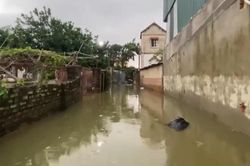 Hơn 300 hộ dân tại xã Trung Giã bị cô lập do lũ dâng cao