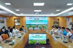 Bất động sản tâm linh: Nhiều 'khoảng trống' pháp lý cần lấp đầy