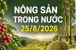 Giá nông sản trong nước 25/8: Cà phê tăng 300 đồng/kg, sầu Thái tăng tới 8.000 đồng/kg