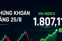 Chứng khoán 25/8: VN-Index vượt 1.800 điểm, độ rộng thị trường vẫn yếu