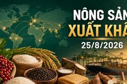 Nông sản xuất khẩu ngày 25/8: Robusta tăng 192 USD/tấn, gạo Việt giữ giá