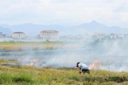 Những nguy hiểm rình rập từ việc đốt rơm rạ sau mùa gặt ở xã Lệ Thủy