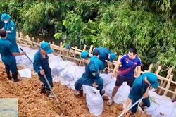Khắc phục kịp thời sự cố đê tả Cà Lồ tại xã Đa Phúc