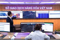 Cần khung pháp lý minh bạch cho thị trường phái sinh