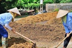 Biến phụ phẩm nông nghiệp thành tài nguyên có giá trị