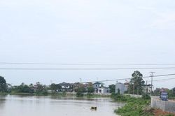 Đê tả Bùi an toàn trước lũ lớn