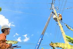 Lịch cúp điện Tây Ninh (Long An cũ) từ ngày 25 - 30/8/2026: Sẽ cúp điện số lượng lớn khu dân cư để phục vụ sửa chữa